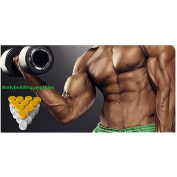 99% SARMS MK2866 Pulver für Bodybuilding